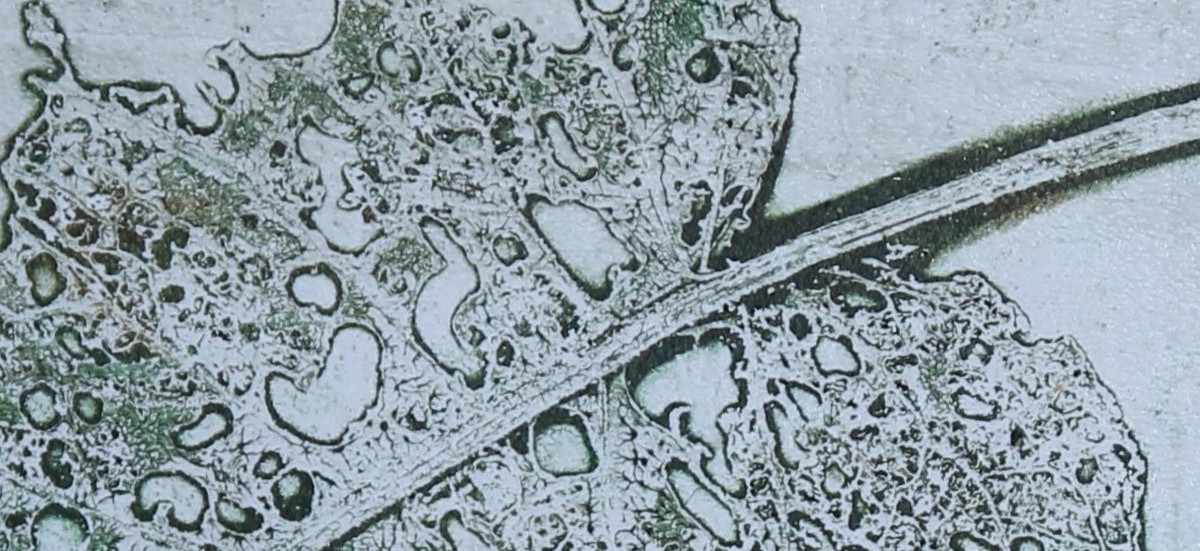 headerklein kopie